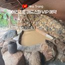 나운리조트숲속동 | [나트랑 아이리조트 머드온천 VIP] 가족여행 필수코스✨ 가격·후기·예약 꿀팁 총정리