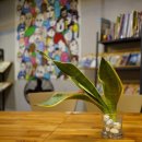 인사호스텔 이미지