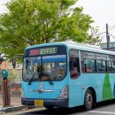 그린시티 이미지