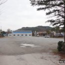맹호사