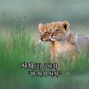 더원더풀 이미지