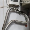 월드에너시스 이미지