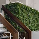 7th street 이미지