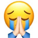 감부자영농조합법인 | 2025 1월 일상