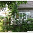 솔향기가득한집 이미지