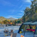 정읍농협주유소 이미지