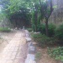 전주한일고등학교 학교숲을 아시나요?^^ 이미지