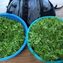 지탄농장 이미지