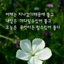 아란 농장 이미지