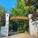 금원 - 중구 대영로 225-1 | 금원