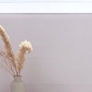 바른스토어
