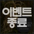 고려홍삼랜드