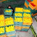 임금농장 이미지