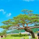 어린이날 기념공연 <이방in> | 서산 해미읍성 축제 주차장 충남 아이랑 가볼만한곳 주말 나들이