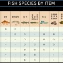 (주)와와컴파니 | 다이와 루어니스트 인쇼어 바다루어 낚시대 개봉 및 로드비교 &amp; 3개월 사용후기