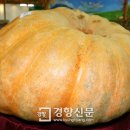 호박고을 이미지