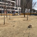 수창공원 앞 이미지