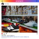 4173 | 남양주 야구용품전문점 ㅣ 야구랜드 야구용품성지 찡스파이크 구매 후기