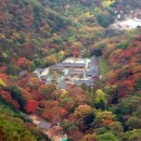 유신상회