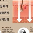 다감스킨앤슈가링왁싱