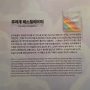 순수 | [동대문] DDP 전시회 추천 '키크니 특별전 : 그렸고 그런 사이' 예매 정보 후기