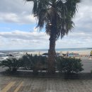 함덕비치스테이제주 이미지