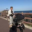 심지방코지 | 8개월 아기와 제주도 한달살기 숙소 내돈내산 추천 후기(선정 기준, 예약, 비용, 장점, 단점)