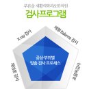 푸른솔실비