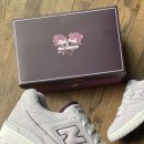 뉴리치모델 이미지