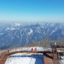 아라리인형의집 이미지