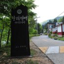 편백향기 이미지