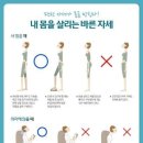 피트리움헬스&PT역삼 네이버블로그