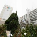 성거공인중개사사무소 이미지