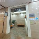 [홍천 여행] 홍천 비발디파크 부대시설 (놀이, 식당) / 회전목마, 범퍼카 / 어반스트릿 푸드코트, 비와...