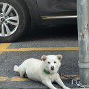 초가집(주) | <충남/논산> 논산갈비 맛집 “태능초가집갈비“ 후기
