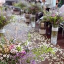 아모르하우스 2 이미지