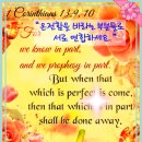 텔레이온 이미지