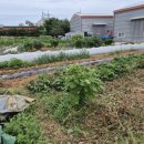 형은농장 이미지