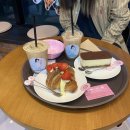 맘마누 | 천안애견동반카페 │카페맘마누 다녀왔어요