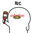 이색뽑기 이미지