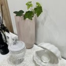 송리단길필라테스 필라디아 개인 레슨 후기