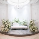 더 화이트벨리 이미지