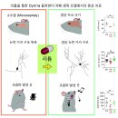 이* - 해남군 | 이*