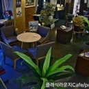 포무플랜트