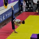 강철 학운 태권도 이미지