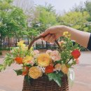 로지마이포지 이미지