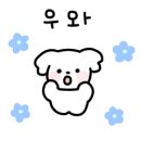 신텐디 이미지