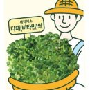 씨앗