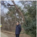 당진행정사 사무소 이미지