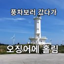 풍차와노을 | 제주 신창해안도로 바다목장 후기 풍차 보러 갔다가 오징어에 홀린 썰